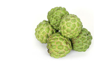 CUSTARD APPLE