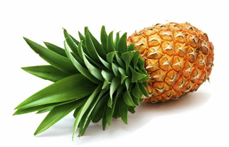 PINEAPPLE